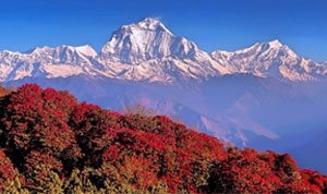 Annapurna Circuit Trek